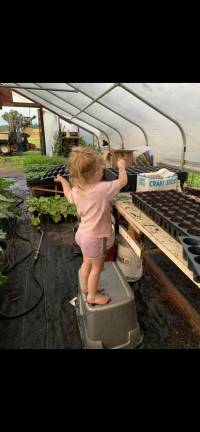 ‘Bride’s best friend’ grows local roots ‘Bride’s best friend’ grows local roots