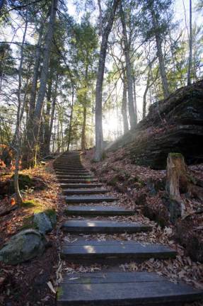 A hard-hit nature park’s comeback A hard-hit nature park’s comeback