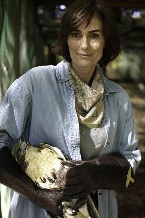 Author Suzie Gilbert with a Red-tailed Hawk, released soon after the photo.