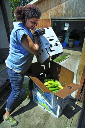 Top: A Newburgh food pantry offers produce gleaned from J&amp;A Farm in Goshen. PHOTO BY BECCA TUCKER Right: Stiles Najac re-boxes squash at J&amp;A Farm. PHOTO BY ROBERT BREESE