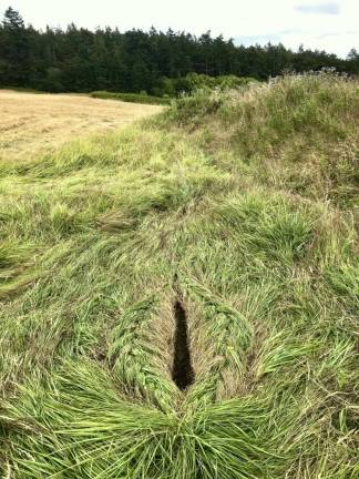 <i>Grassy Yoni </i>(2020) is a bold work depicting a female genitalia made entirely of knotted grass in a remote field.