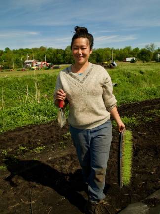 Christina Chan transplanting garlic chives.