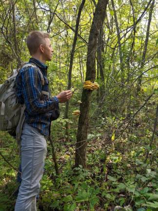 Mushroom guru sets his sights higher