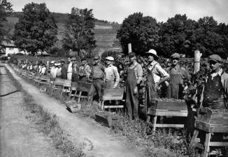 These German prisoners were held near the Widmer Wine vineyards in Naples, NY, where they harvested grapes. Source: Warfare History Network
