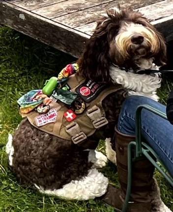 A canine attendee of the field trip to Keith’s Farm