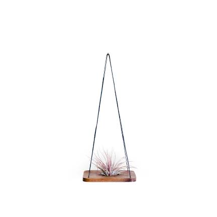 Stuff we dig 2. Swings come in cedar, cherry, maple or walnut.