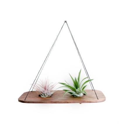 Stuff we dig 2. No windowsill or even soil necessary with this air plant swing.