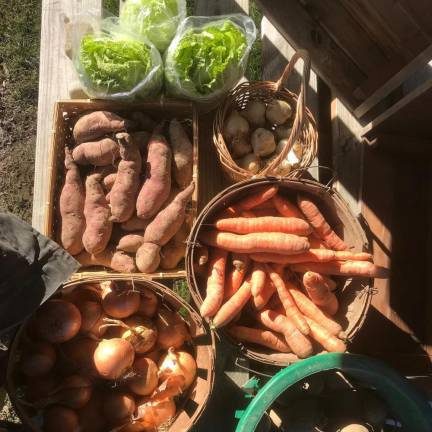 A winter CSA share from Genesis Farm.