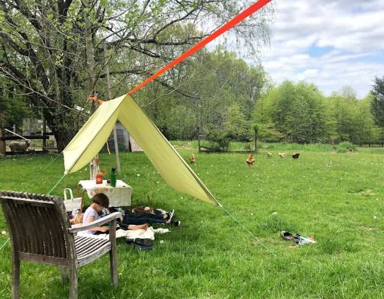 Summertime, and the glamping is easy Summertime, and the glamping is easy