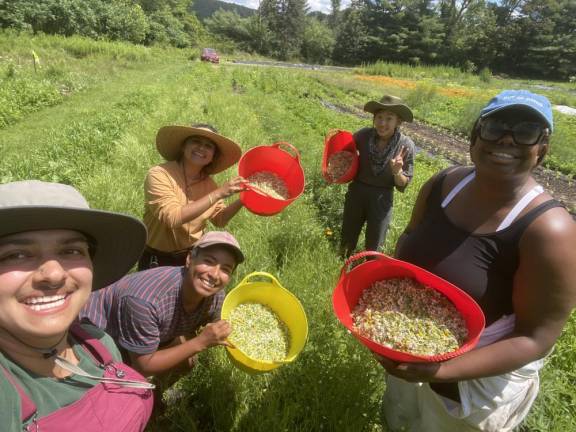 Celebrating last summer’s 11-pound chamomile harvest