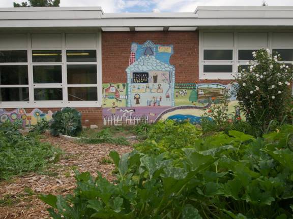 Wresting a school courtyard back from the weeds