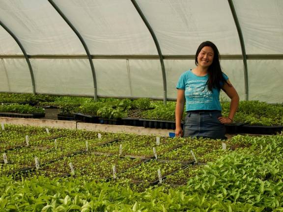 Bok choy meets black dirt