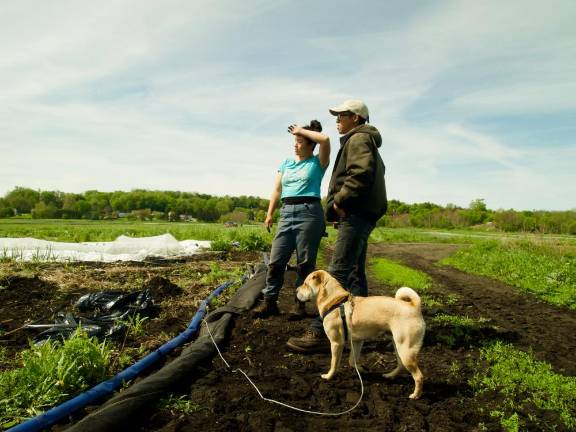 Christina Chan, Larry Tse and Momo, surveying the fields.