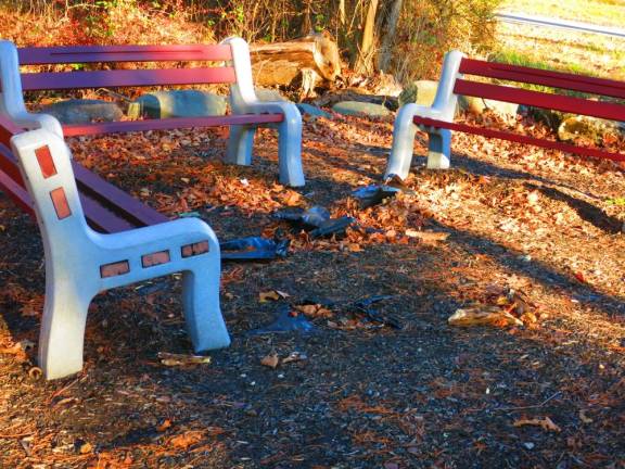 Benched Benches along O&W rail trail, Mountain Dale to Woodridge section (Photo by Pamela Chergotis)