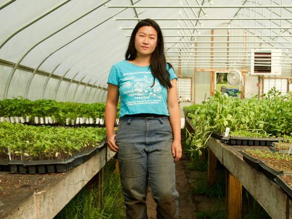 Bok choy meets black dirt