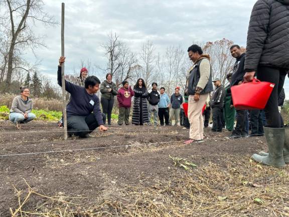 Ullauri demonstrating garlic planting technique at the farm’s annual garlic festival in October.