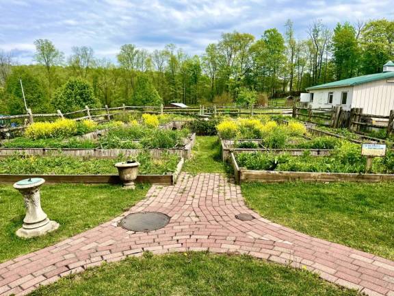 Turning lawns into lifelines Warwick Valley Winery’s demo garden features native pollinator plants.