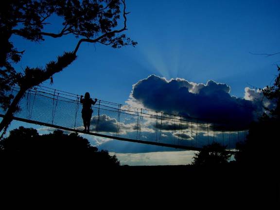 Meg Lowman on a canopy walkway.