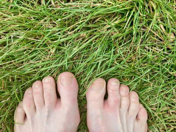 Walking barefoot, you don’t just see the tiny plants, you feel and smell them.