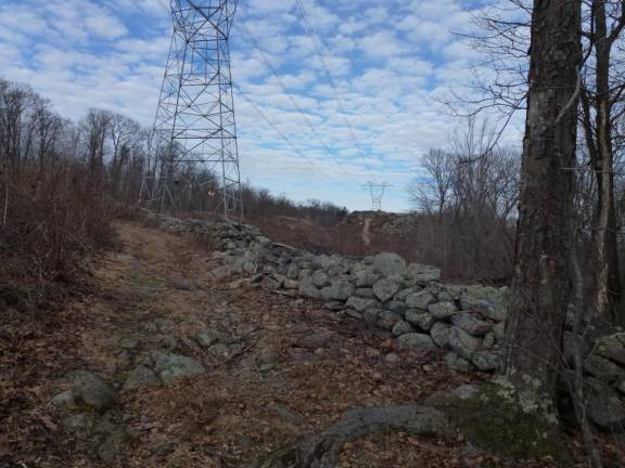 During the Sheep Mania of the 19th century, rock walls like these at Wawayanda State Park went up in a frenzy.