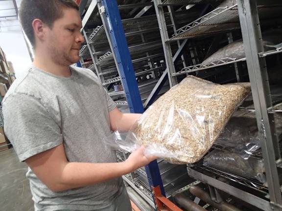 Shane Boland, 22, with a bag of inoculated fungus that's in the process of growing &quot;mucles.&quot;