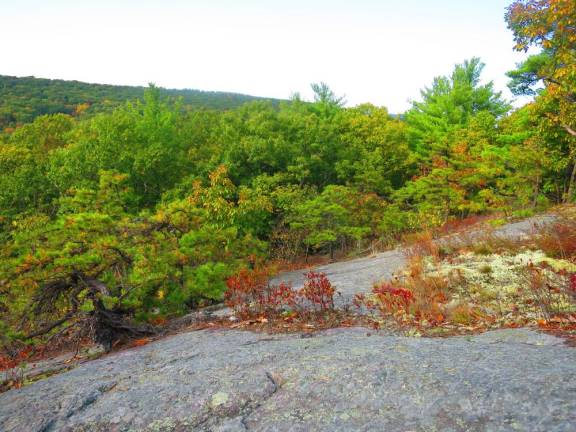 When the masses head back to the bar or Legoland or wherever, I’m hoping to see hikers who loves the panoramic vistas of places like the Neversink River Valley as much as I do.