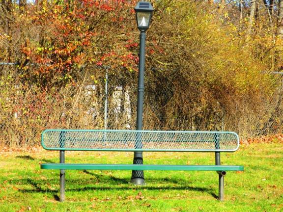 Benched Bench along O&W rail trail, Mountain Dale to Woodridge section (Photo by Pamela Chergotis)