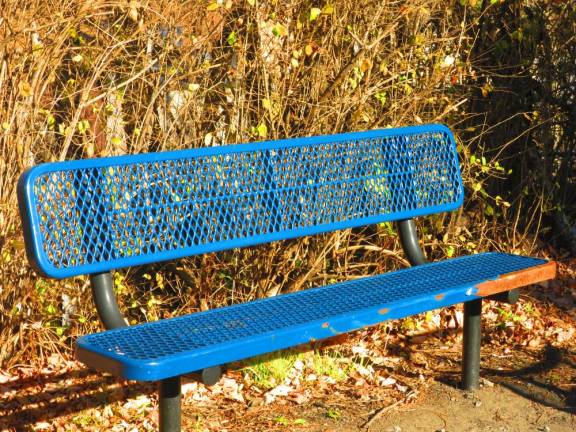 Benched Bench along O&W rail trail, Mountain Dale to Woodridge section (Photo by Pamela Chergotis)