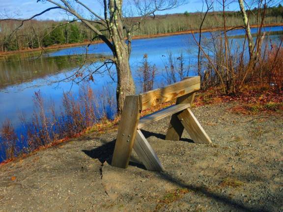 Benched Bench overlooking wetlands along O&W rail trail near Hurleyville, N.Y. (Photo by Pamela Chergotis)