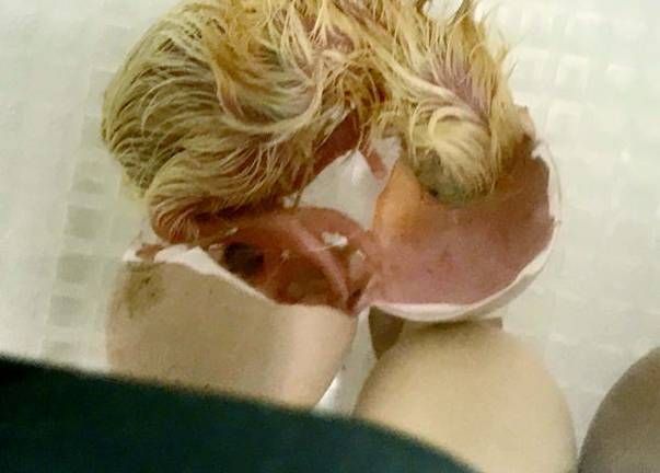 Hatching chicks Profile: Sanfordville Elementary, Warwick, NY