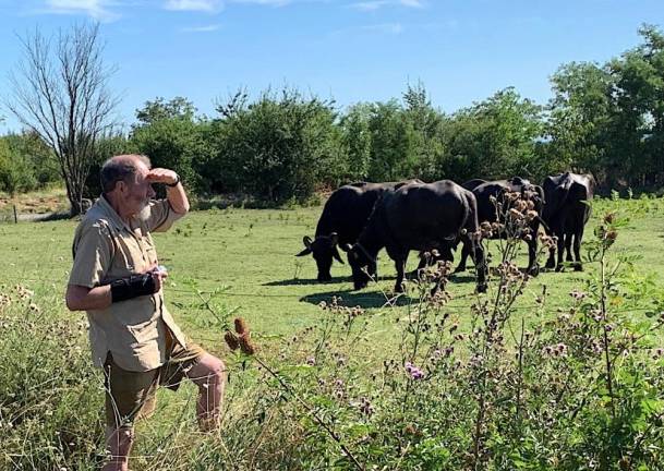 For a retired farmer, farmhopping is de rigeur on any vacation.