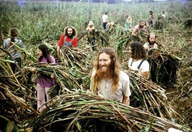 Inside the hippie cult