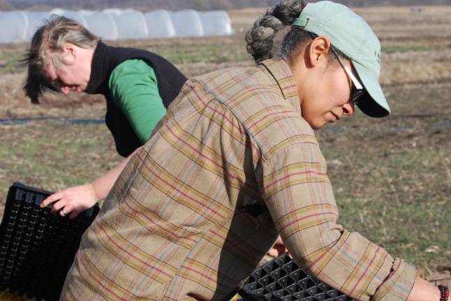 The coming of age of a Black woman farmer