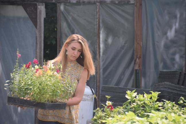 ‘Bride’s best friend’ grows local roots ‘Bride’s best friend’ grows local roots
