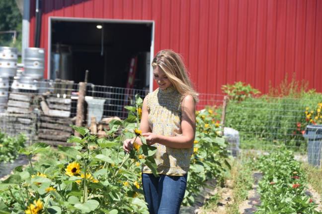 Hambrick in a field of sunflowers grown by Kevin Kaarlsen outside Long Lot Brewery in Chester, NY.