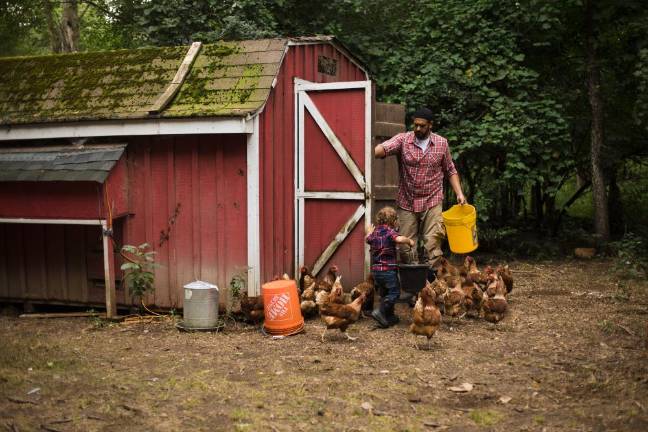 Samer Saleh and Noah, 2, tend to the laying flock