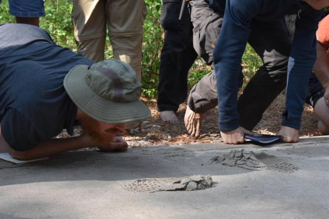 A student gets down low to examine a track in the tracking box.