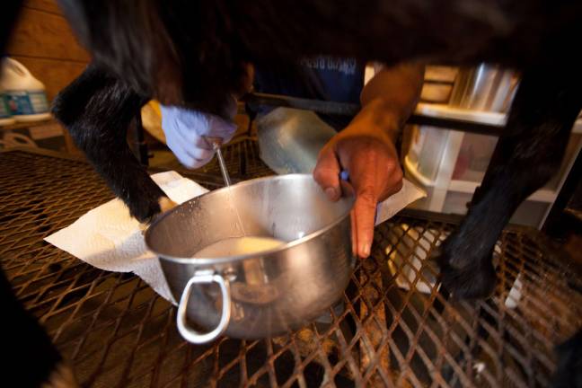 Raw milk Raw milk