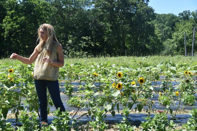 ‘Bride’s best friend’ grows local roots