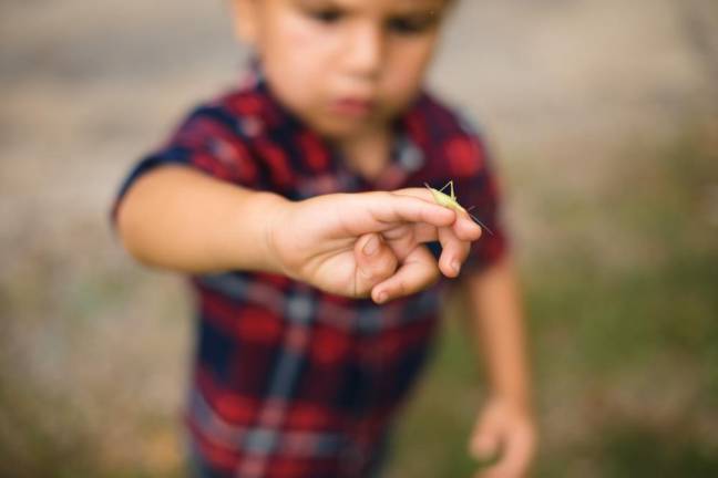 Noah, 2, with a grasshopper