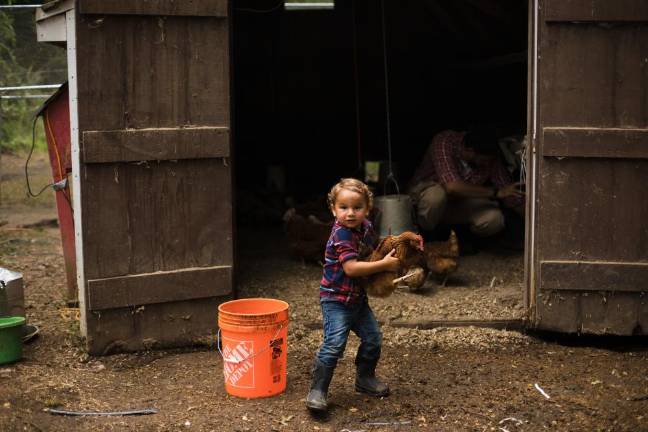 Noah, 2, busy farming