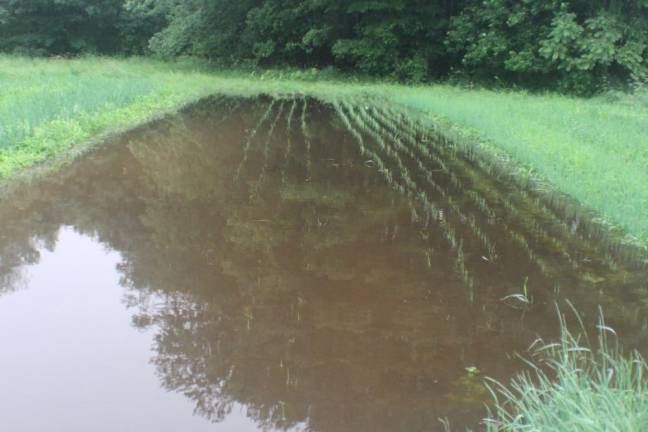 Keith’s Farm in Greenville, NY, experienced off-the-charts rainfall in September and October.