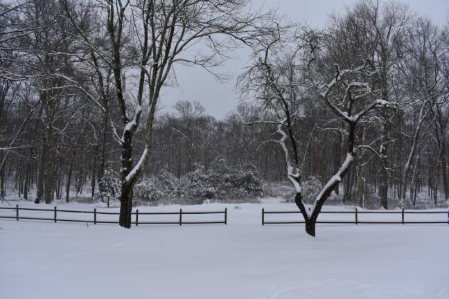 Our first real snow of the winter on Jan. 7.