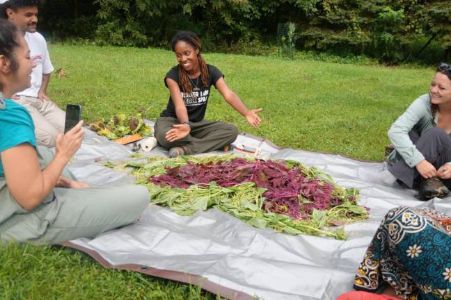 Isa discusses amaranth with her students, including harvesting, drying, and processing.