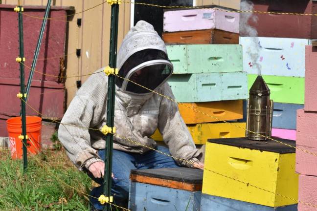 Harrison gets the paint for his hives from the Home Depot “oops” section.