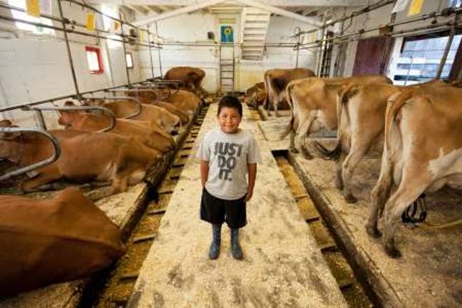 Raw milk Raw milk