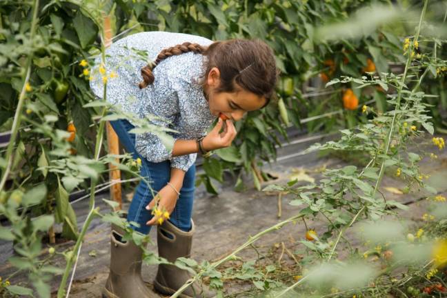 Malaak, 7, eating a tomato. The farm grew out of the parents’ desire to feed their kids well.