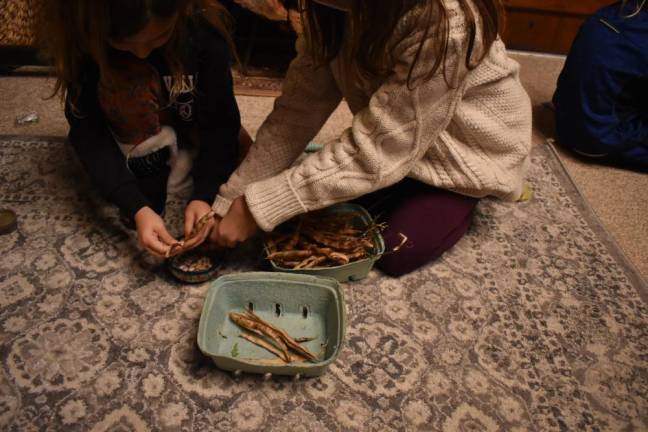 The beans from purple pods turn out to be white with a hint of lavender, while the green beans have a café-con-leche hue. It is artistic Juno, 7, who points out the apparent contradiction: the darker shell yields the lighter bean.