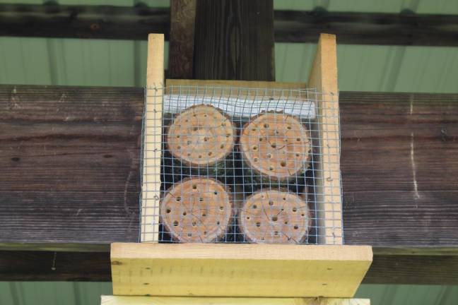 A bee hotel the writer built this year on his farm.