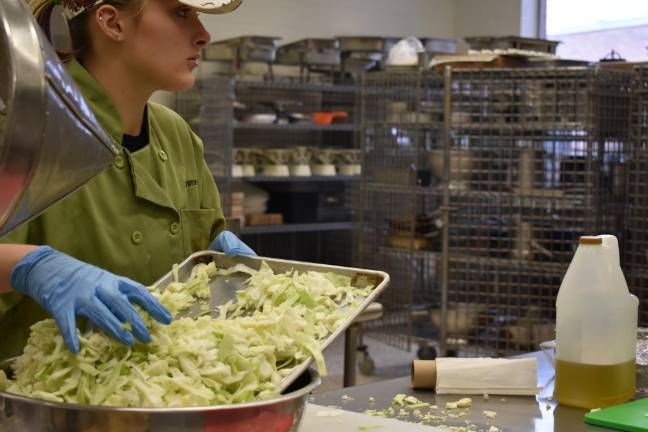 Chopping up cabbage for cole slaw